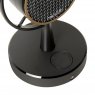 Акустическая система Microlab Micmusic - 1